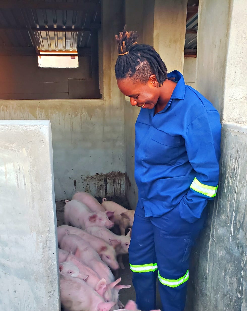 Animal Husbandry — project photo